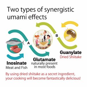 Two types of synergistic umami effects