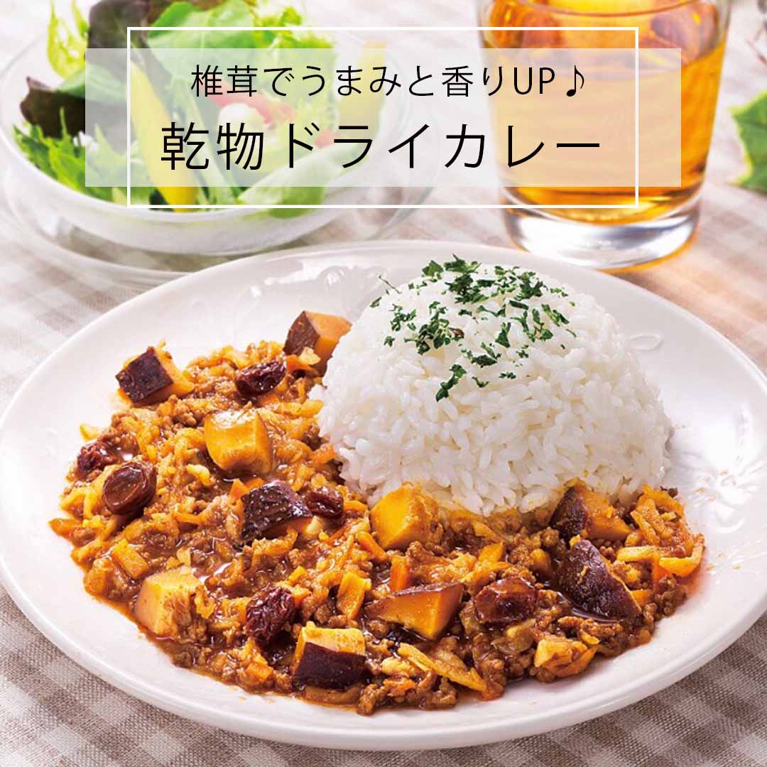 乾物ドライカレー